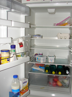 empty_fridge.JPG